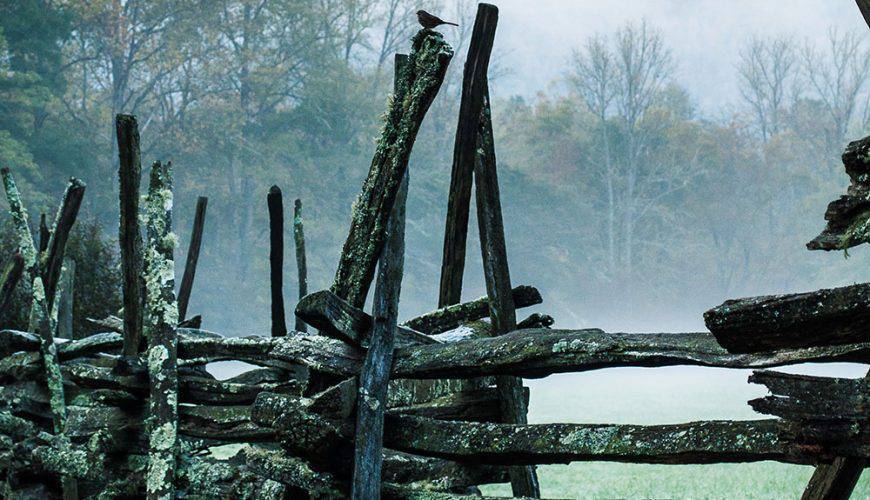 تسليط الضوء على مدينة: فيلادلفيا