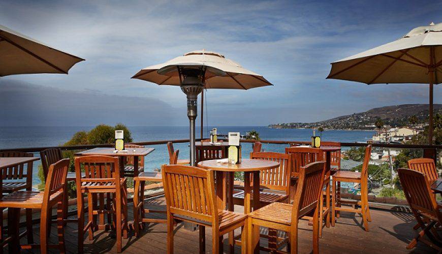 تجول بين زهور التوليب في واشنطن